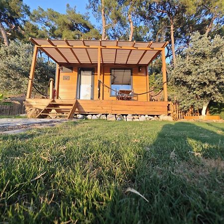 Tiny Mini House Hotel Dalaman Luaran gambar