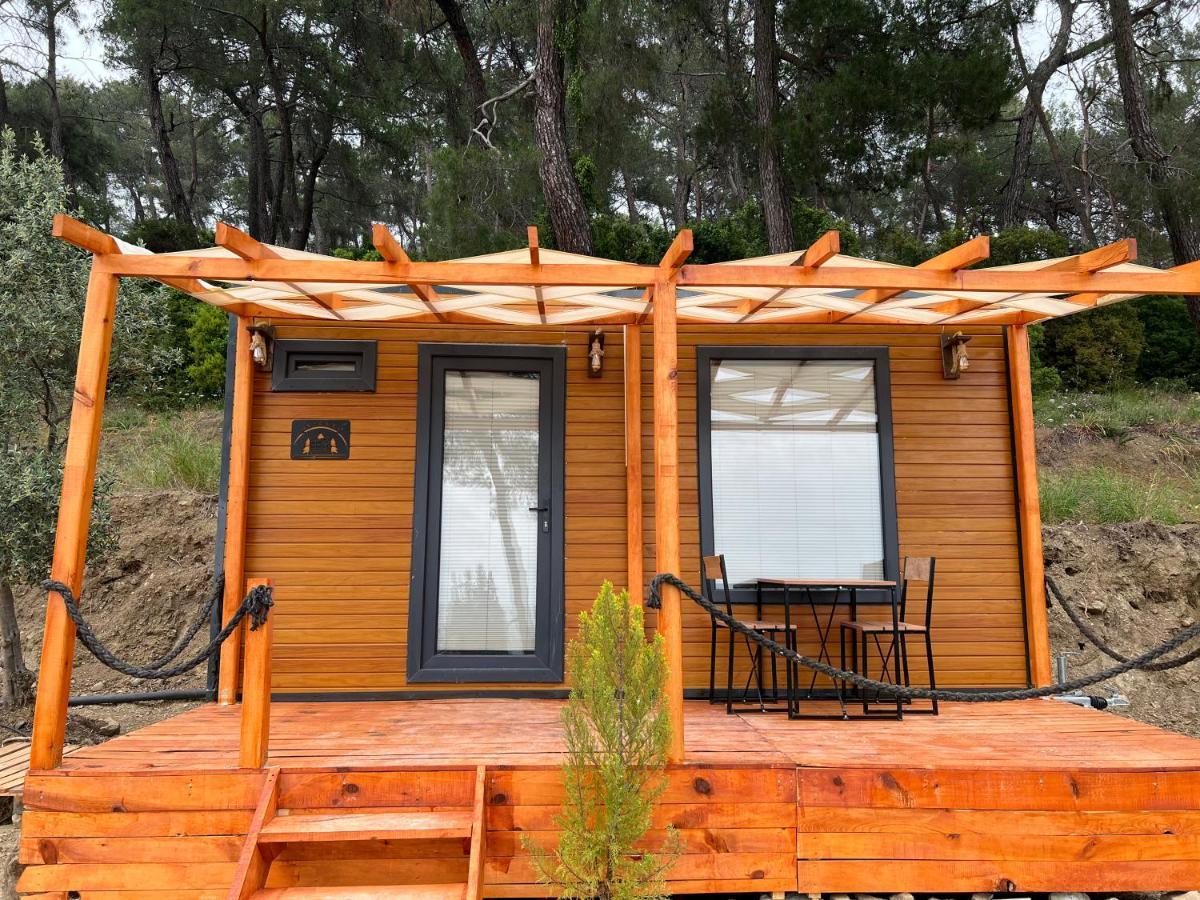 Tiny Mini House Hotel Dalaman Luaran gambar