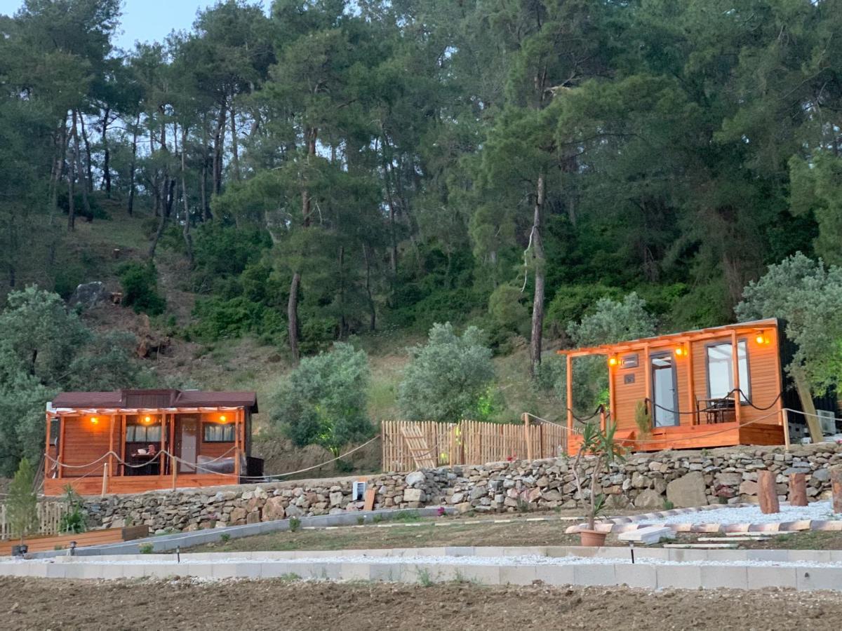 Tiny Mini House Hotel Dalaman Luaran gambar