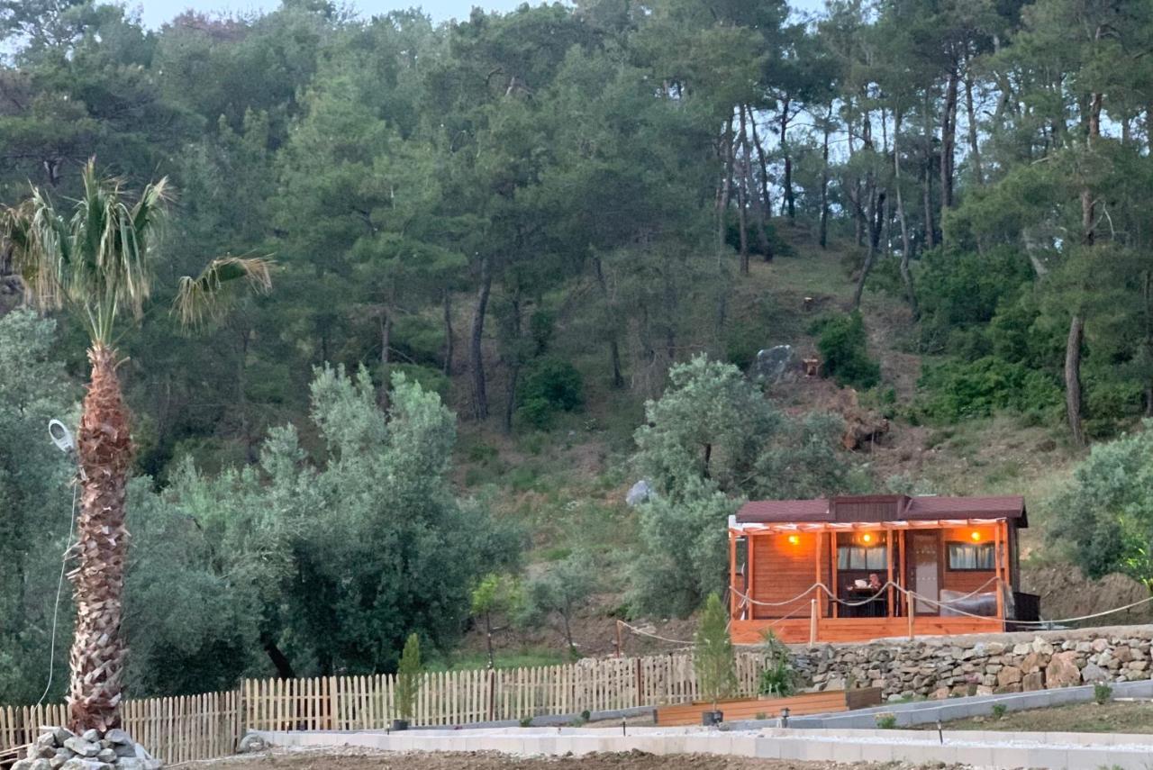 Tiny Mini House Hotel Dalaman Luaran gambar