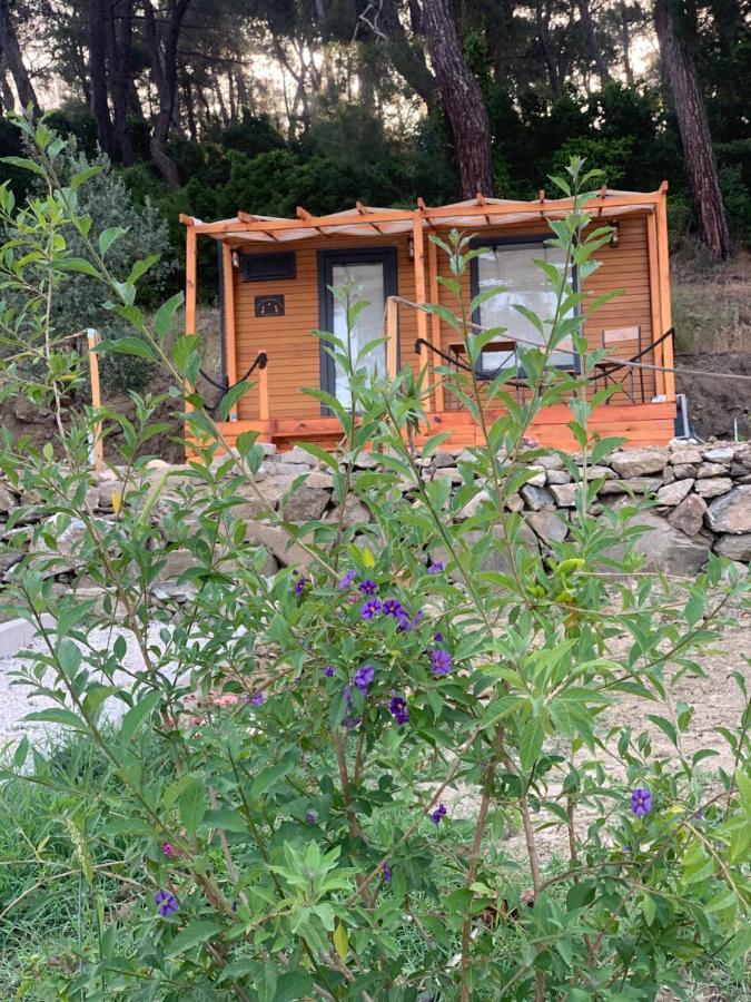 Tiny Mini House Hotel Dalaman Luaran gambar