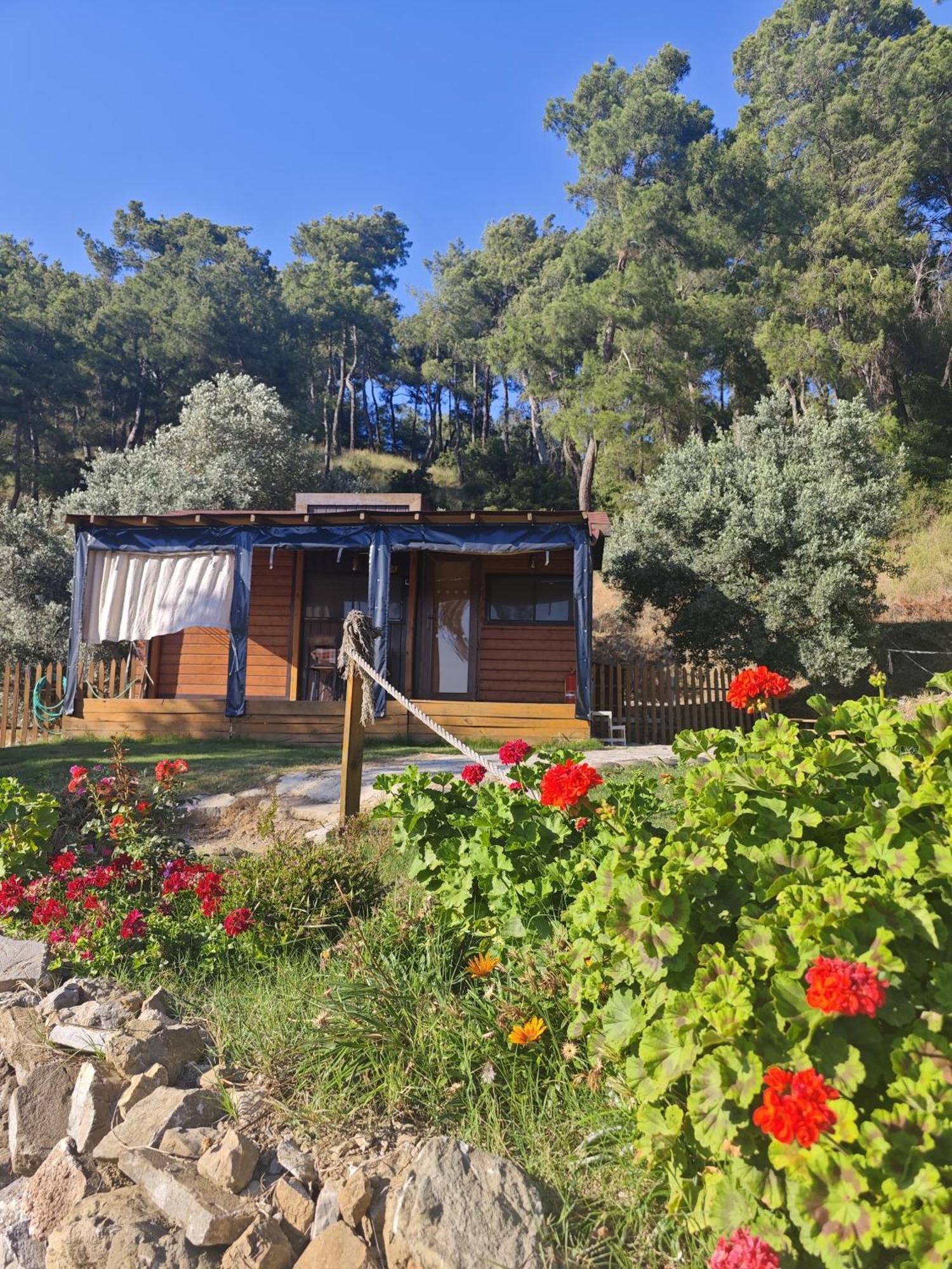 Tiny Mini House Hotel Dalaman Luaran gambar