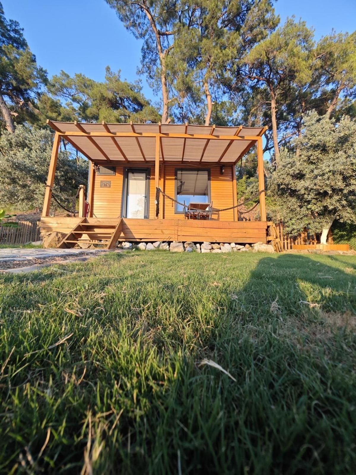 Tiny Mini House Hotel Dalaman Luaran gambar