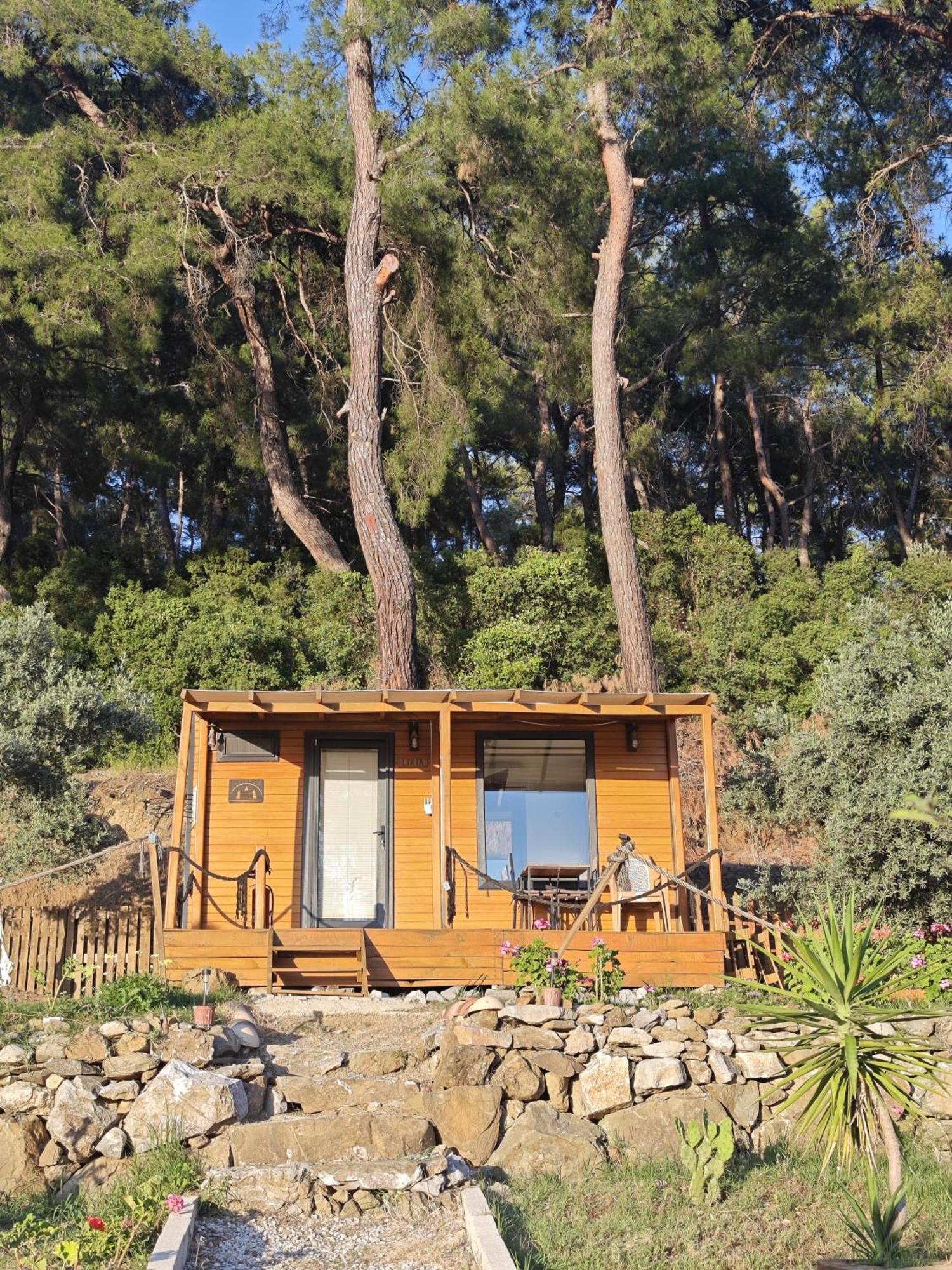 Tiny Mini House Hotel Dalaman Luaran gambar